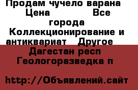 Продам чучело варана. › Цена ­ 15 000 - Все города Коллекционирование и антиквариат » Другое   . Дагестан респ.,Геологоразведка п.